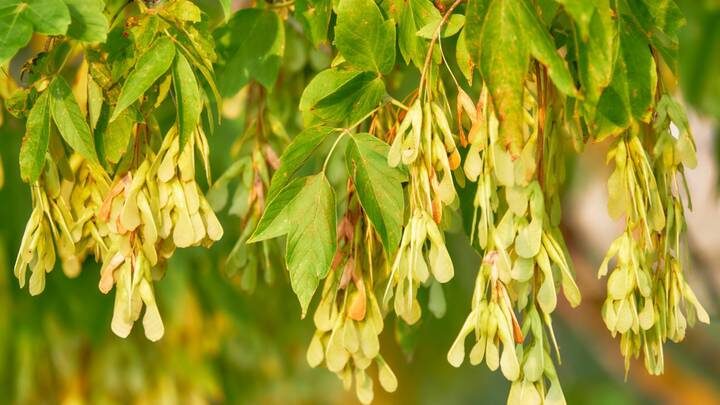  Фото: Shutterstock