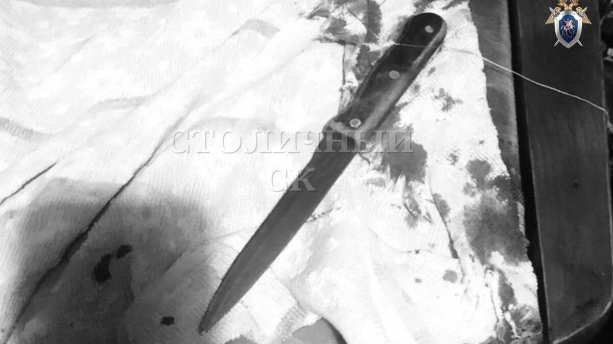    Фото: пресс-служба Следственного комитета России по Москве / Telegram