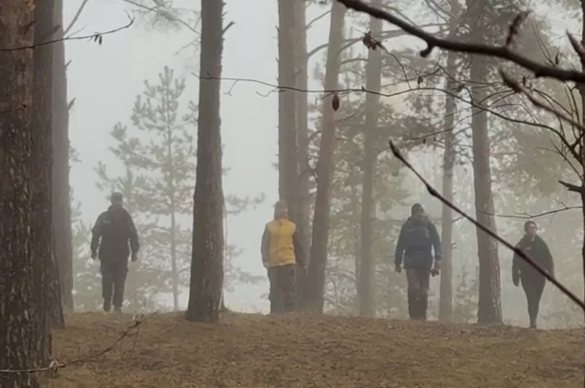    В Тверской области собаки спасли заблудившуюся в ноябрьском лесу бабушку