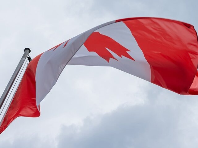    Фото: 123RF.com/brianholm