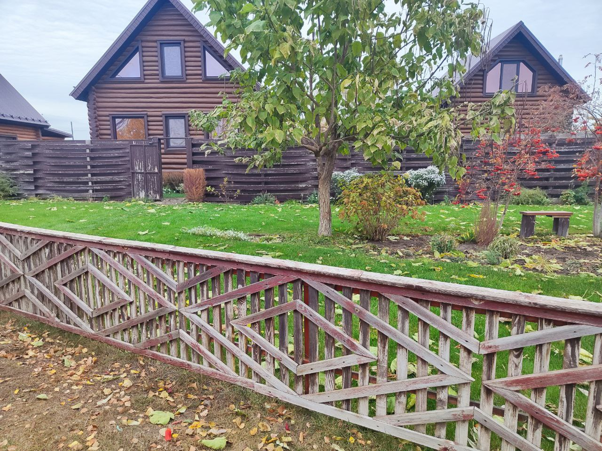 Фото автора.