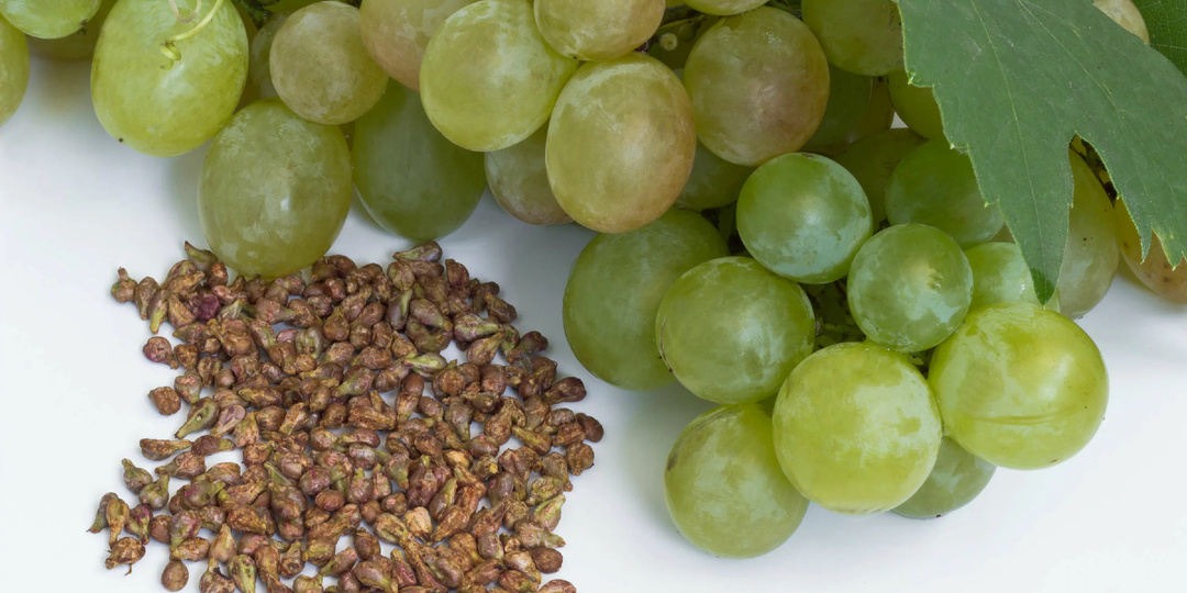 Загадка виноградной косточки: маленькая капсула с большой силой для здоровья