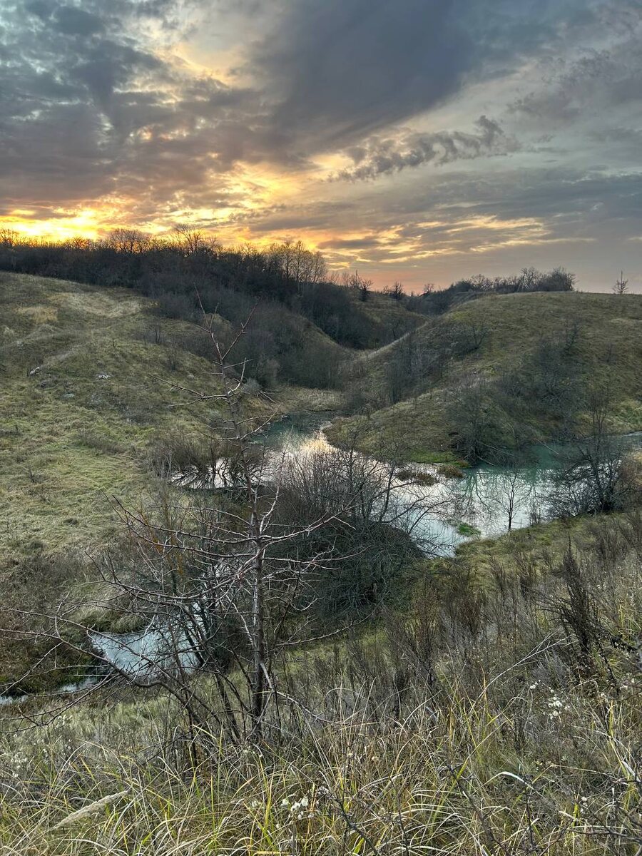 Плотина бобров во всей красе. Вид сверху. Здесь хорошо просматривается основная и запасная запруды.