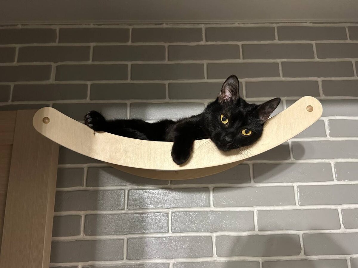    архив samaraonline24.ru