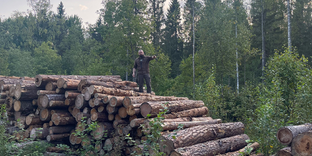 Остановите их: чиновники пытаются разрешить ВЫРУБКУ ГОРНЫХ ЛЕСОВ