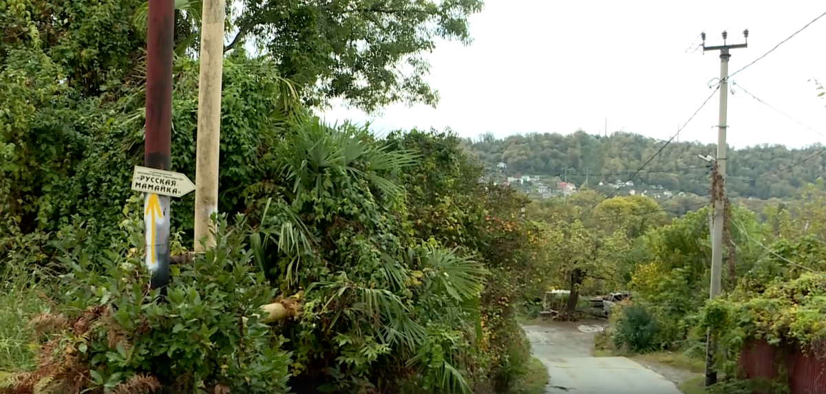    Фото: Сочи 24