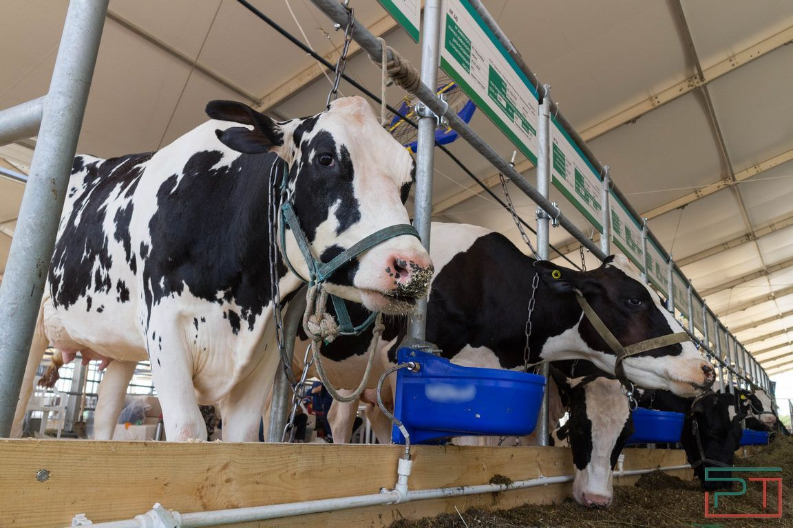 Фото: Юлия Бидун / «РТ»