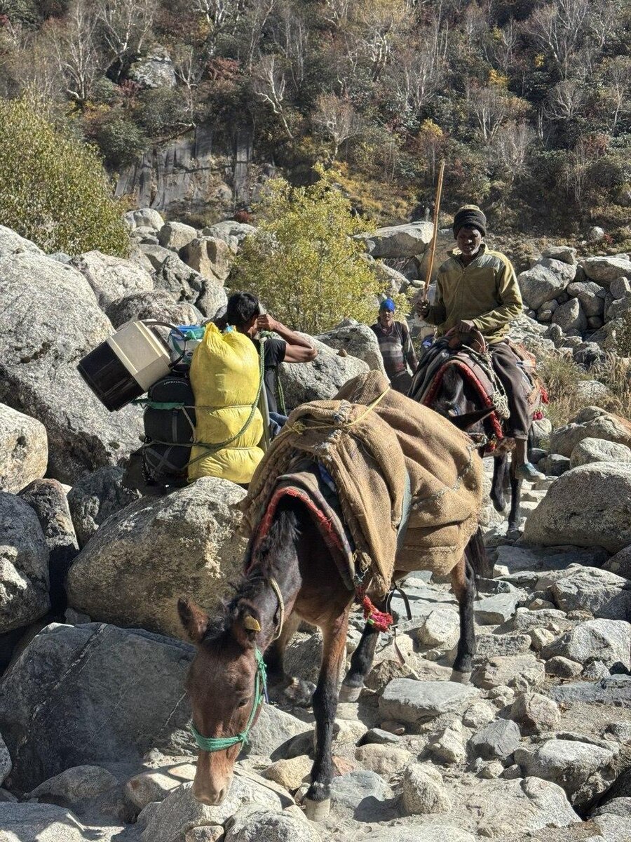    путешествие в индию