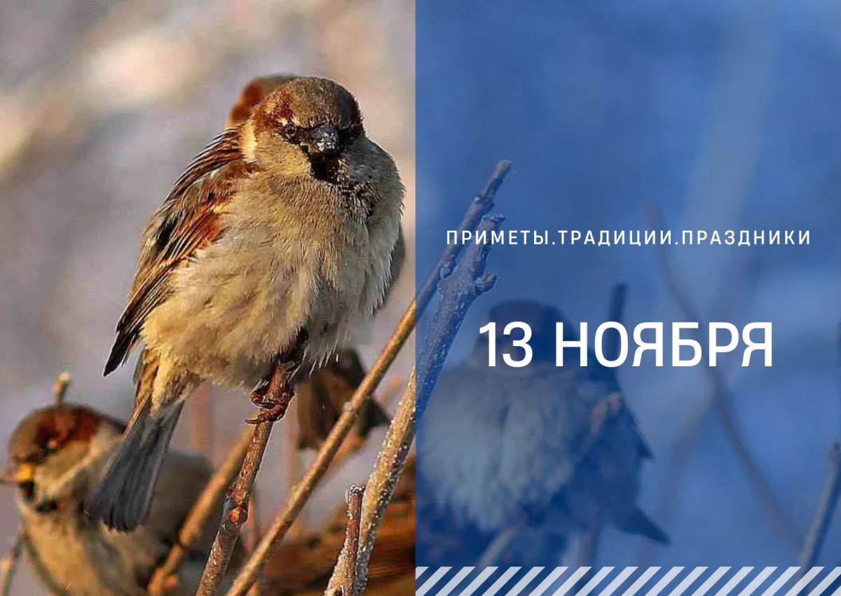   ГТРК "Ставрополье"