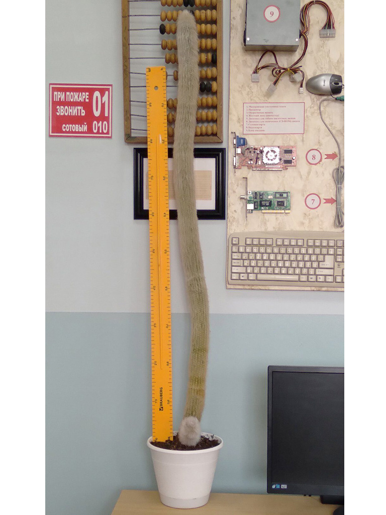 31 августа 2021 года