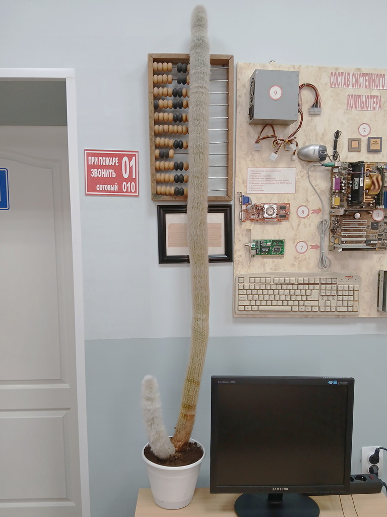 12 ноября 2025 года