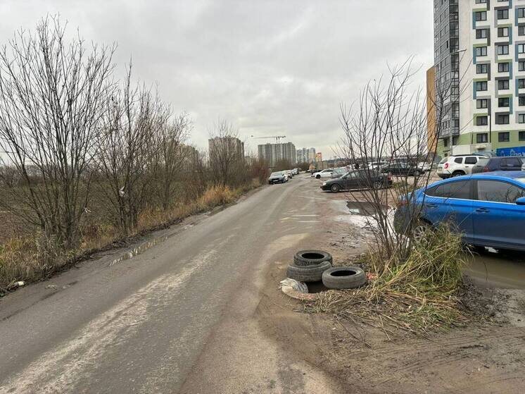     К решению проблемы подключили местных застройщиков и профильные службы. Фото: телеграм-канал строительного блока Ленобласти.