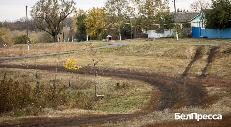 Фото: Павел Колядин