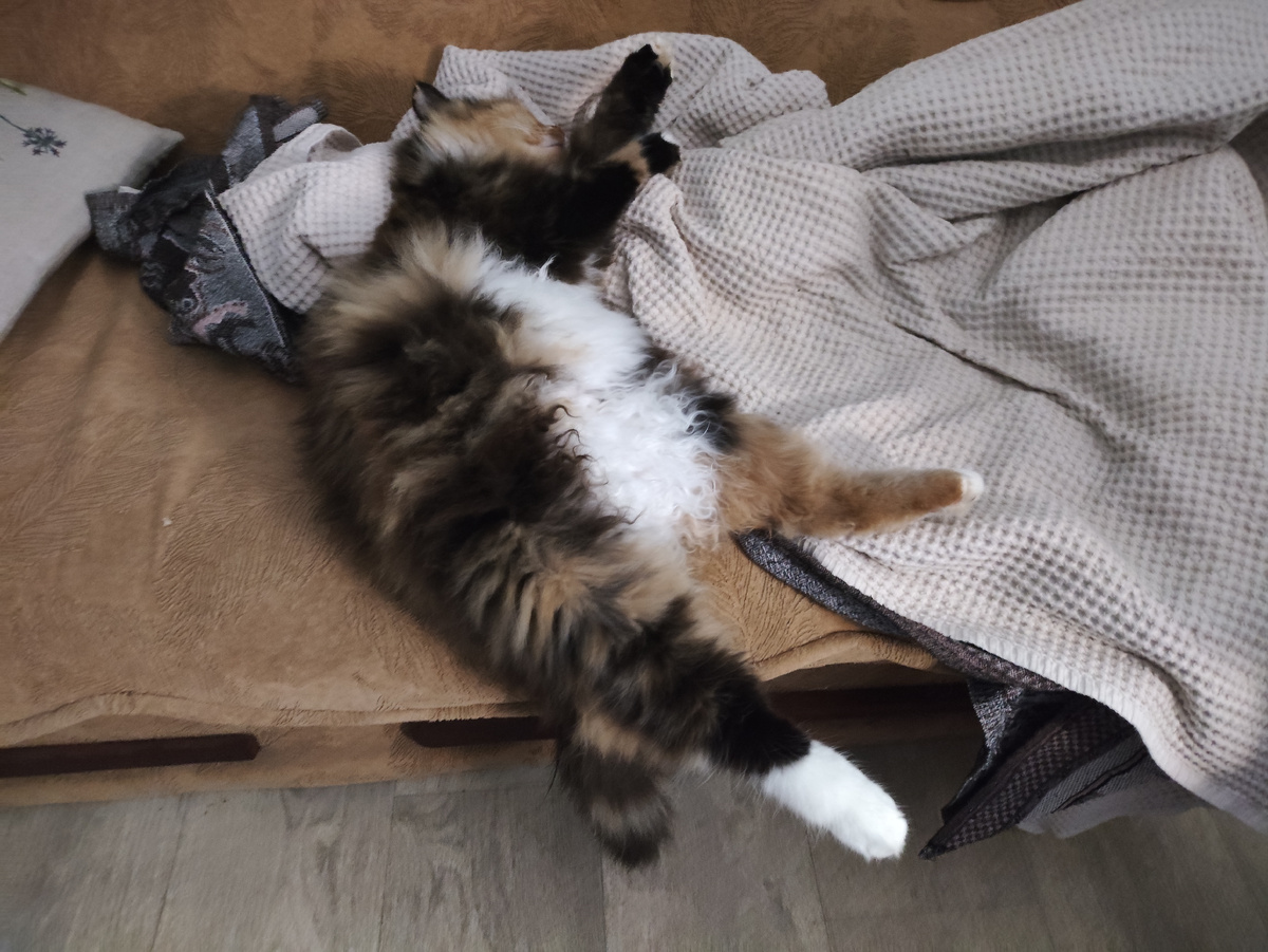 Вот умеет же.....