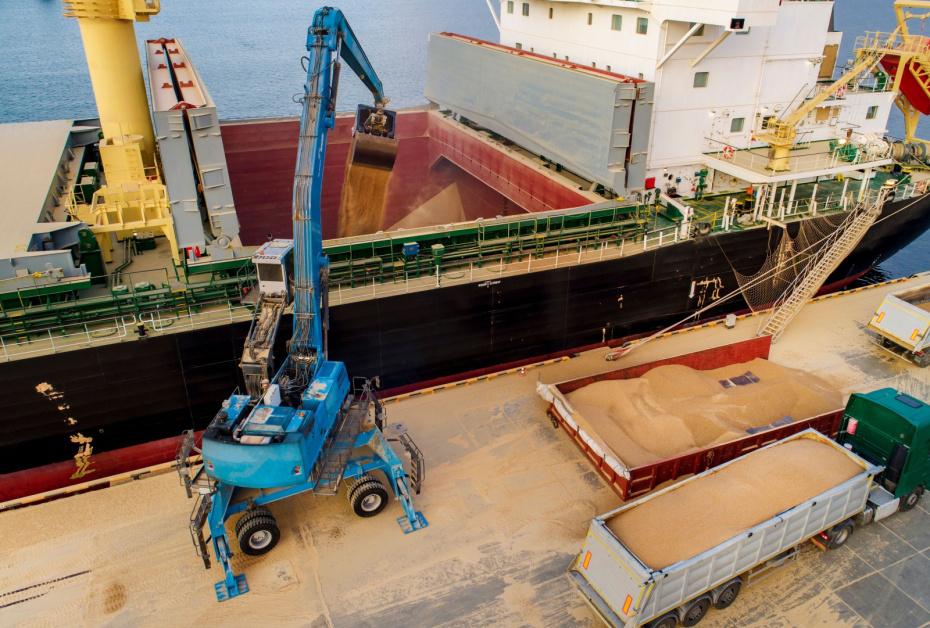    Shutterstock/FOTODOM