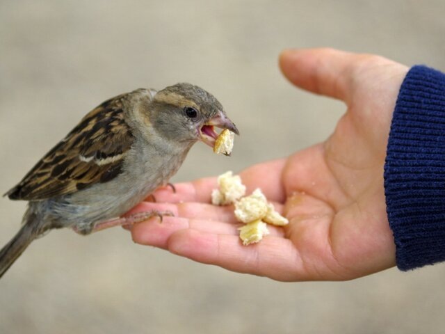    Фото: 123RF.com/russiapoint