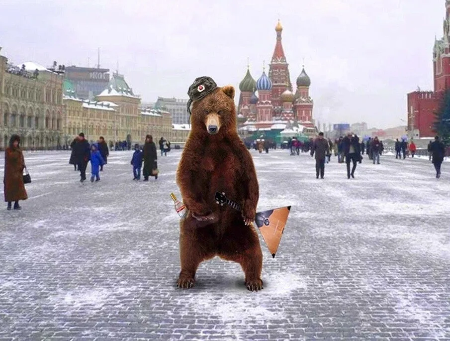 Яндекс картинки