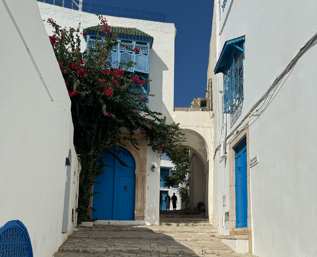 Дом в Сиди-Бу-Саиде