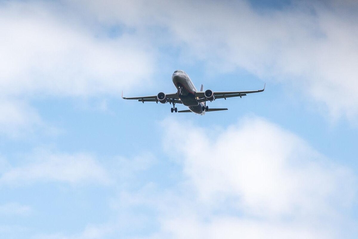 Фото: Олег Золото/«Петербургский дневник»