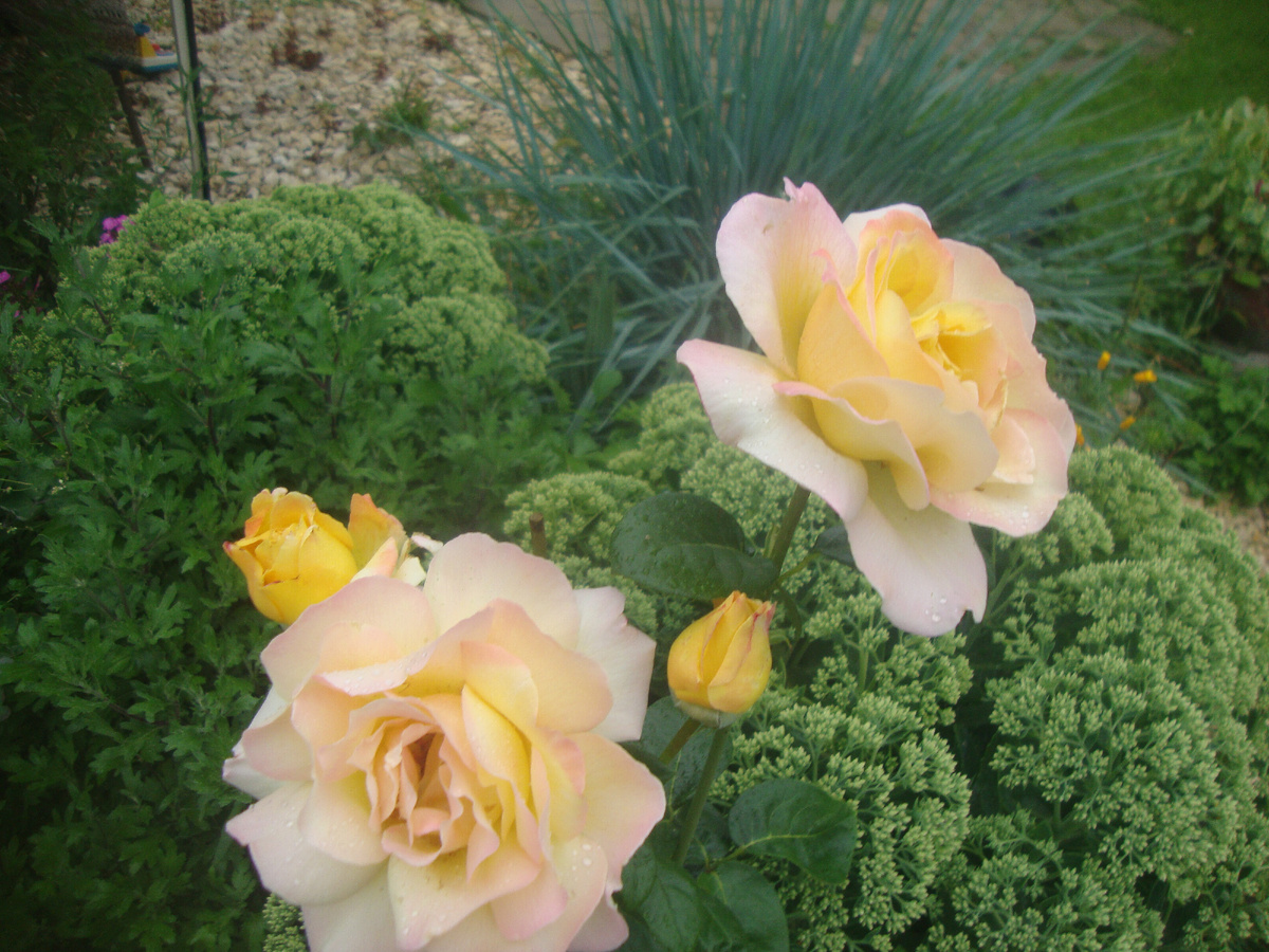 для настроения