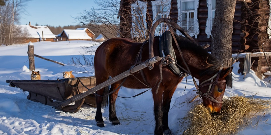 Не страшна зима, коли есть корма: как готовились к зимовке крестьяне на Руси