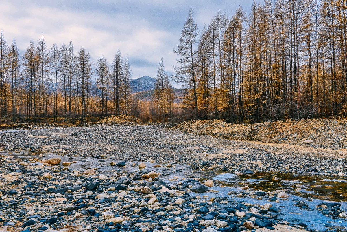 Фото из интернета. 