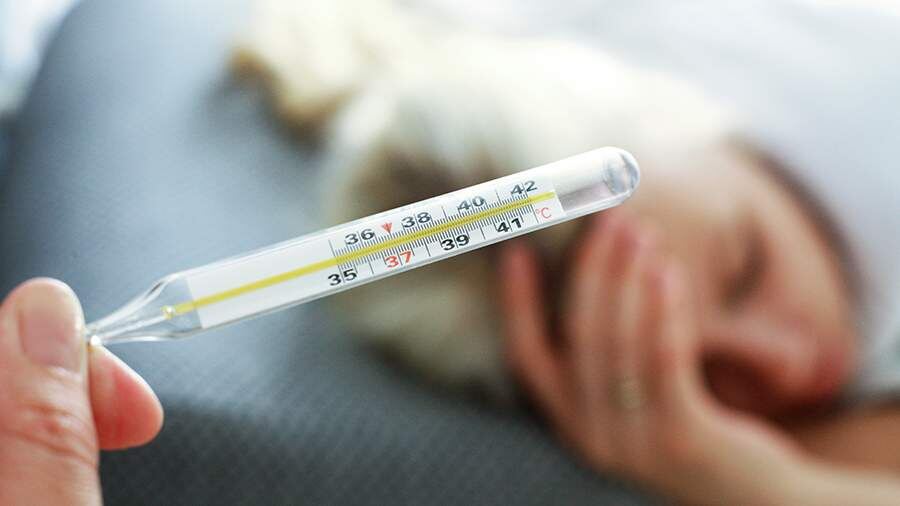    Фото: ИЗВЕСТИЯ/Юлия Майорова