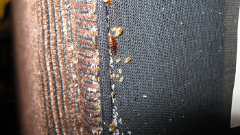 Из цитируемого источника