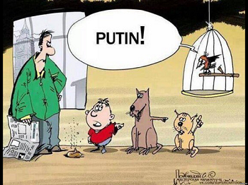 Из открытых источников