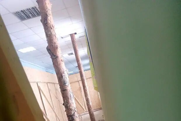    Фото: lenta.ru Оливия Ильинская