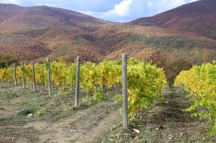    t.me/yuriy_burlachko