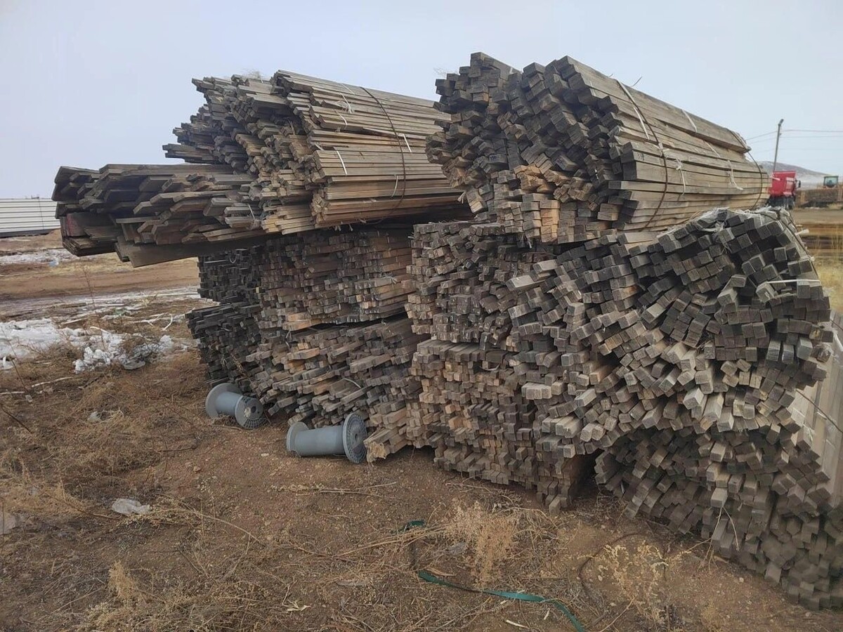    Фото: Telegram-канал Ирины Волк