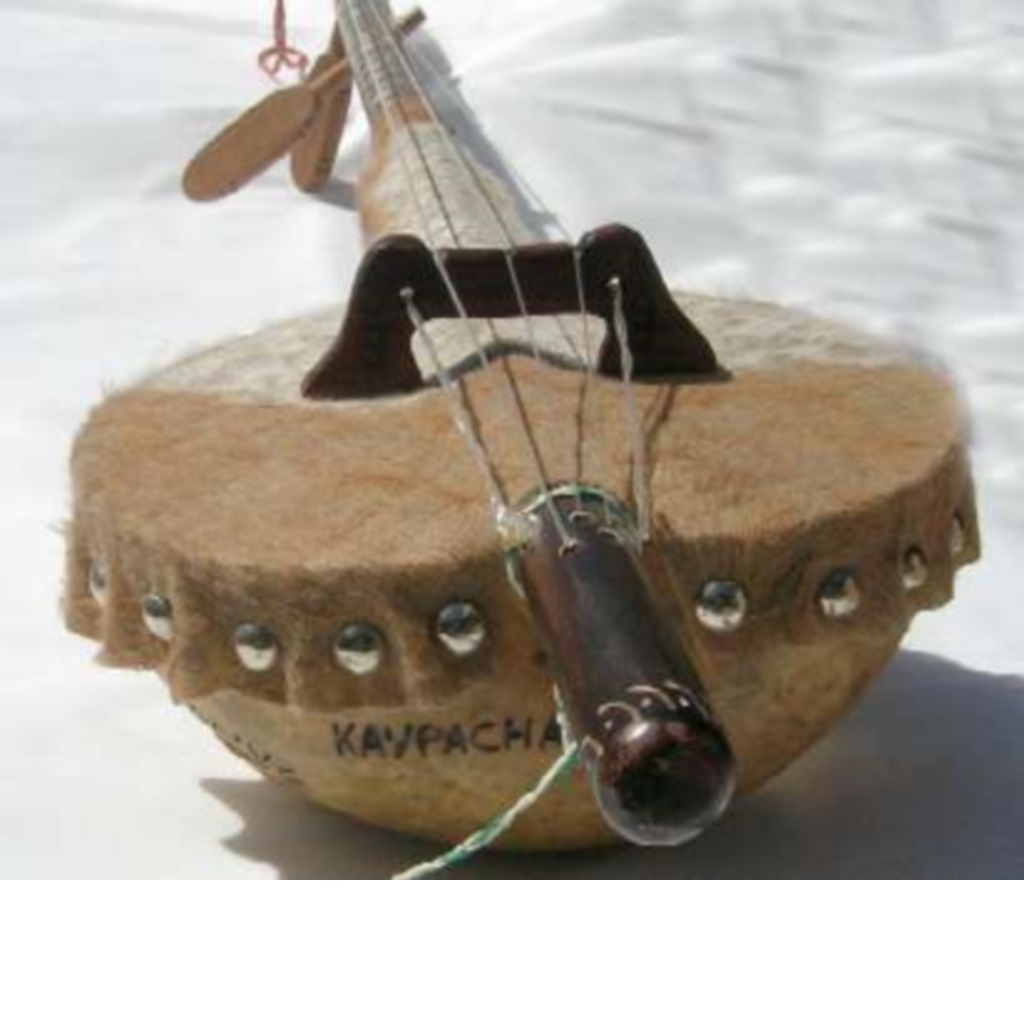 akonting — эконтинг