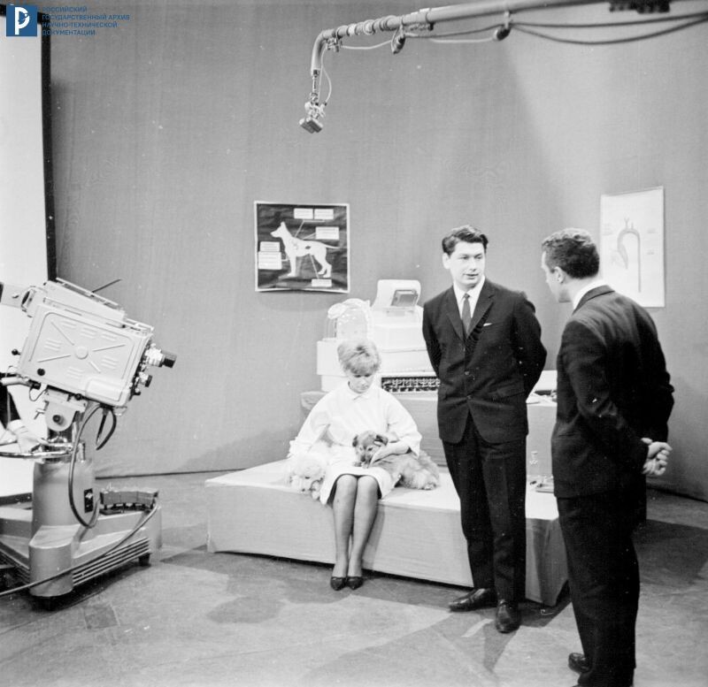 Летчик-космонавт СССР, врач Б.Б. Егоров и другие сотрудники Института медико-биологических проблем (ИМБП) в студии Центрального телевидения СССР во время передачи, посвященной итогам полета собак Уголька и Ветерка на искусственном спутнике земли "Космос-110". Москва, 1966 г. РГАНТД. Арх. № 1-13013.