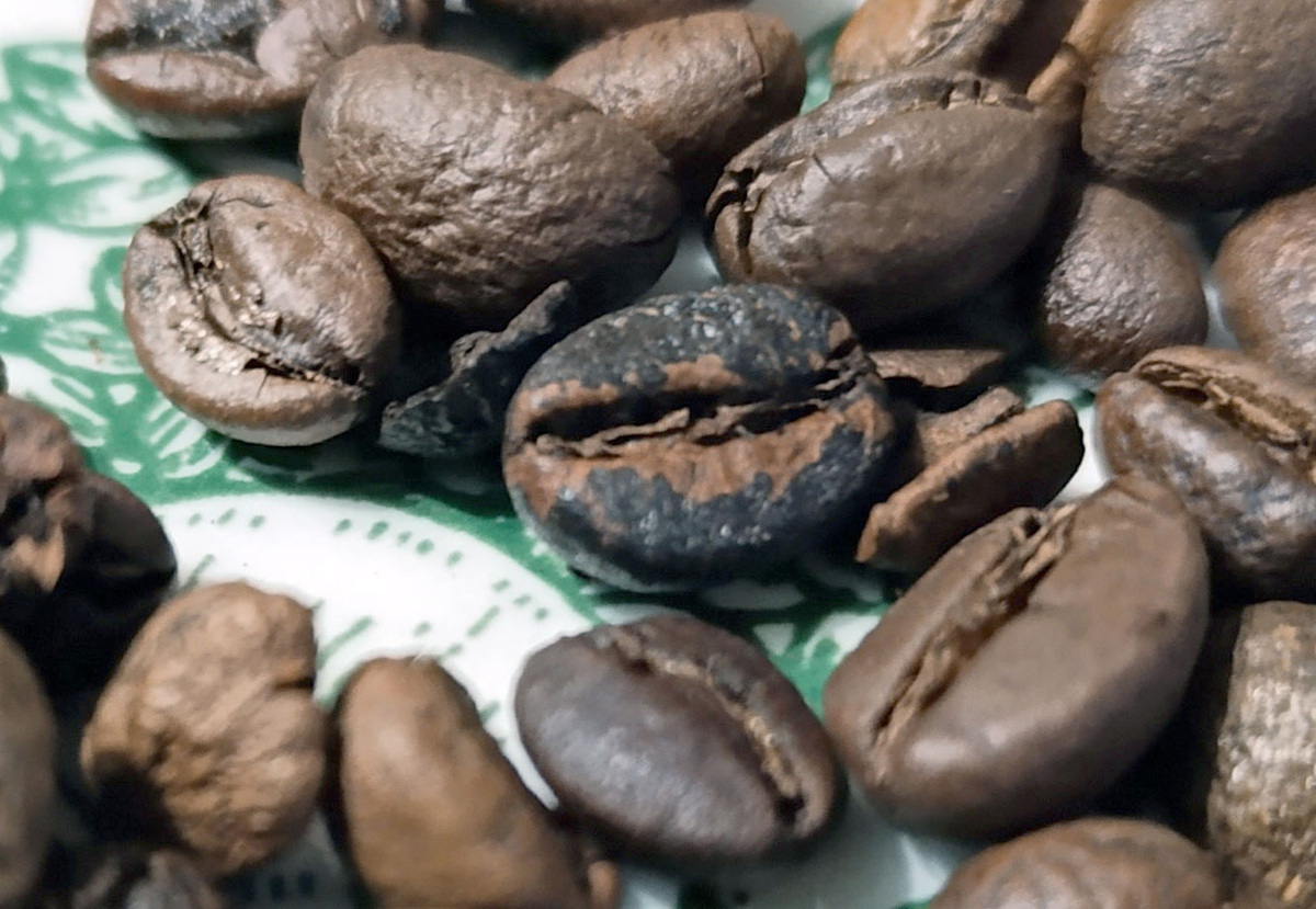 Попадаются горелые зерна