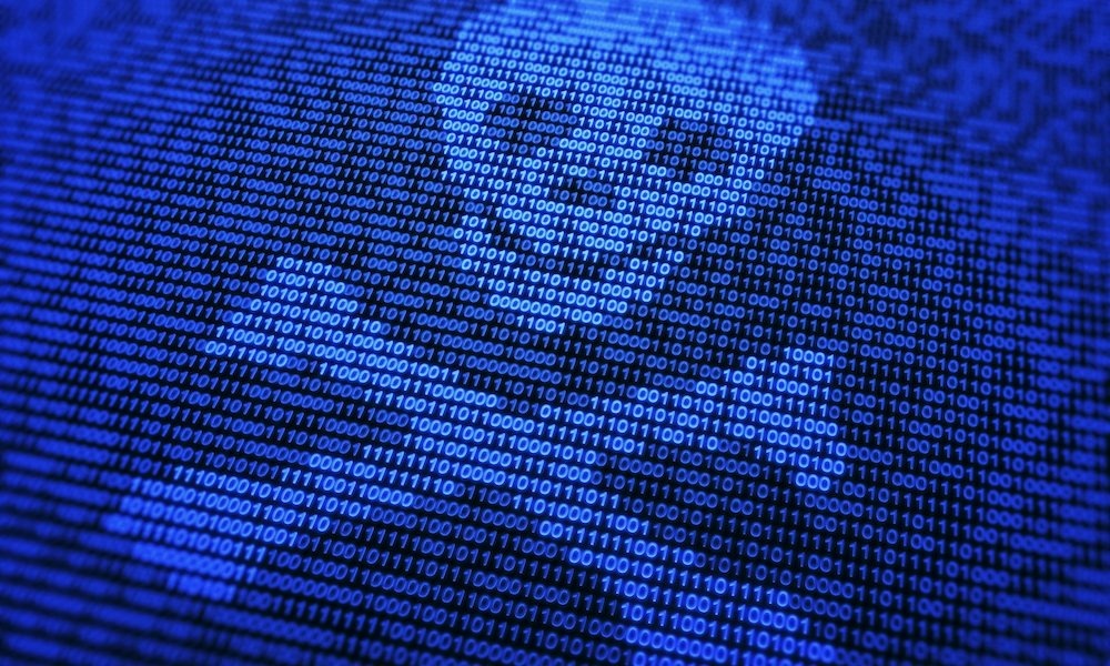 Малварь, иллюстрация. Источник: Google