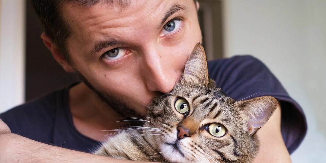 Почему кошек нельзя сильно обнимать и сжимать