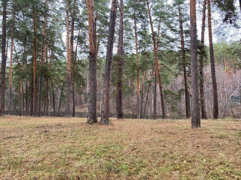 2,2 га земель являются собственностью Российской Федерации