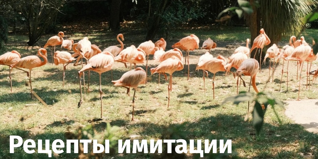 Имитация пленки FijiFilm