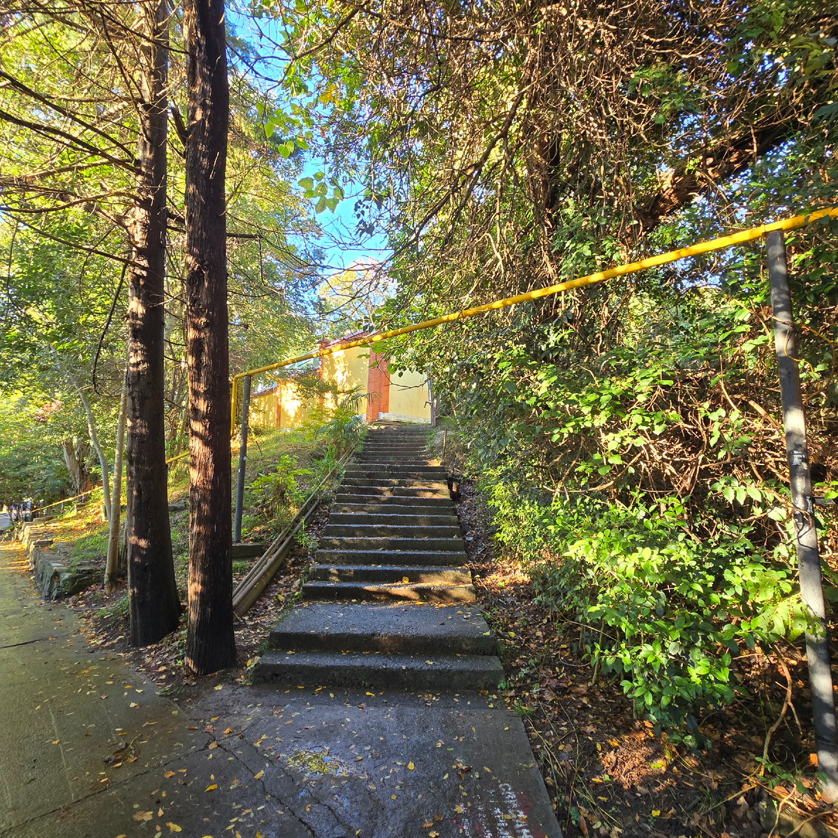 Лестница, ведущая от терренкура "Тропа здоровья" к кафе "Чебуречная"