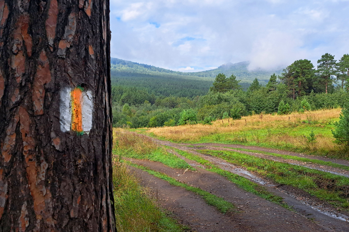 На пути к Малиновой (в облаках на заднем плане) можно встретить метки всех популярных местных туристических маршрутов. Так выглядит маркировка Южноуральской тропы