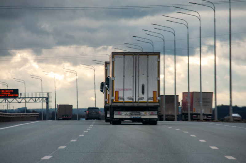    Фото: Svetlana Vozmilova/Globallookpress