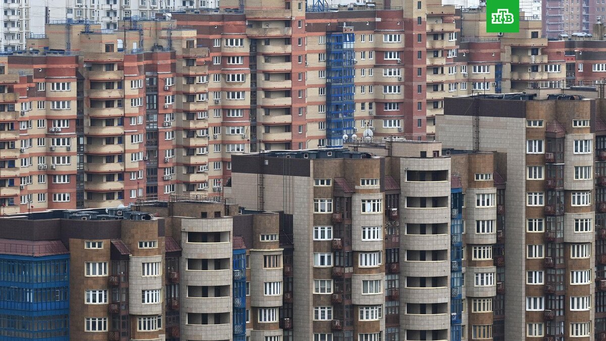    Фото: РИА Новости © 2025, Владимир Вяткин