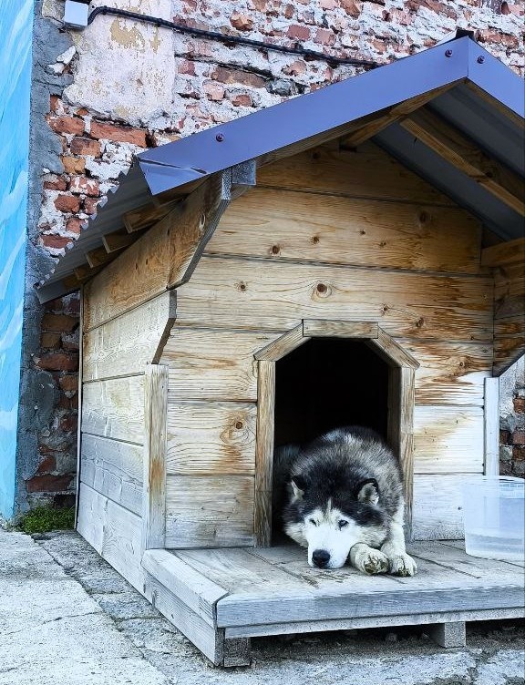 Териберка. Скучно.