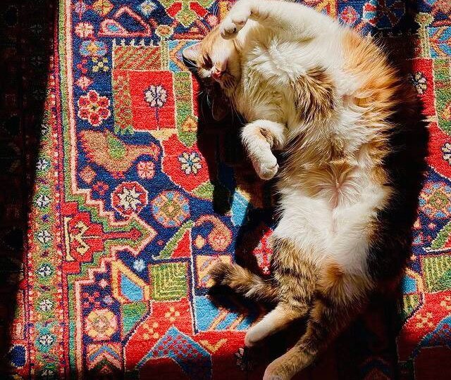 Турецкие фразы, которые пригодятся в Стамбуле (и не только)