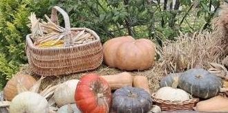    фото "Веселовские вести" Веселовские вести