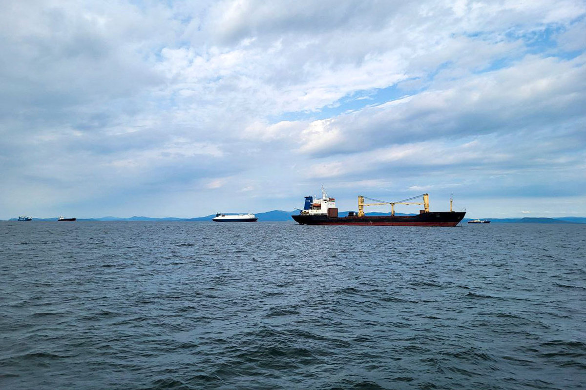 В соцсетях пытаются распространить информацию якобы об угрозе экологической катастрофы в районе губы Андреева.  Фото: Фото: ФедералПресс / Анна Миронова