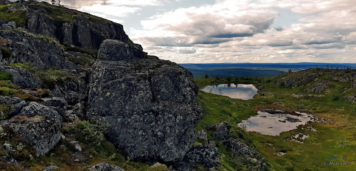 фото из интернета