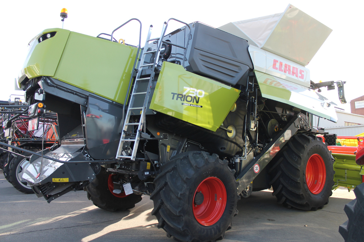 Фото Артема Илошваи, dzen.ru