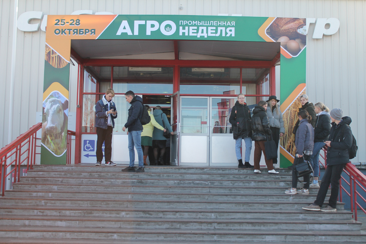 Фото Артема Илошваи, dzen.ru